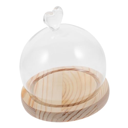 Cabilock de Vidrio para Decoración Miniatura con Base de Estable Funda Protectora Antipolvo para Flores Bodas y Cumpleaños Diseño y Fácil Limpieza