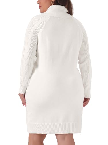 Image of Agnes Orinda Plus Size Sweaters for Women Long Sleeve Turtleneck Warm Pullover Mini Sweater Dresses