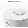 Amazon.com: Hey Dewy Wellness Humidifier - for home, office, bathroom ...