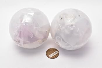Amazon | Capsule Torso (カプセルトルソー) カードキャプター