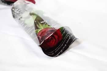 31sEwVpLopL._AC_UF350,