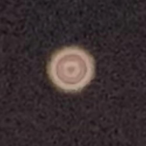 54.愛の行方の闘病生活#21来年を占う_2024年12月26日収録