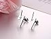 Aegean Jewelry Titanium Lady's Charming Stud Earring with a Gift Box and a FREE Small Gift