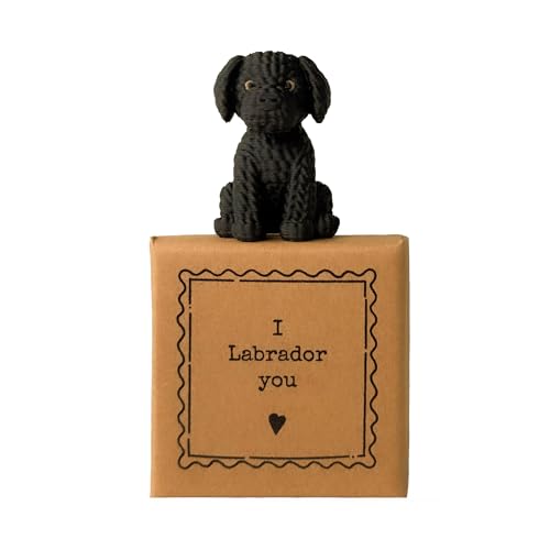 Image Industry I Labrador You Tiny Little Gifts Labrador Keepsake in Small Gift Box Sentimental Style Gift for Dog Lovers Best Friend or Loved One (Black)