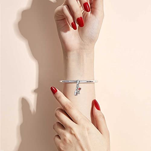 KunBead Womens Heart Wine Bottle Glass Enamel Dangle Charms Compatible with Pandora Charm Bracelet Gift for Birthday3