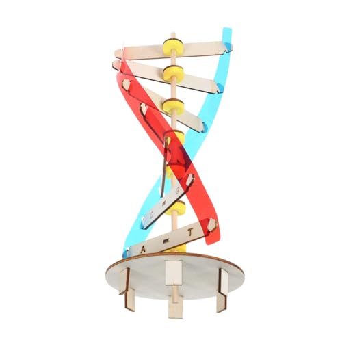 CIYODO Kit de Modelado DNA de Madera DIY Modelo Educativo de Doble Hélice para Enseñanza Científica y Desarrollo de Habilidades Motoras Decoración para Aula Didáctico de Ciencia