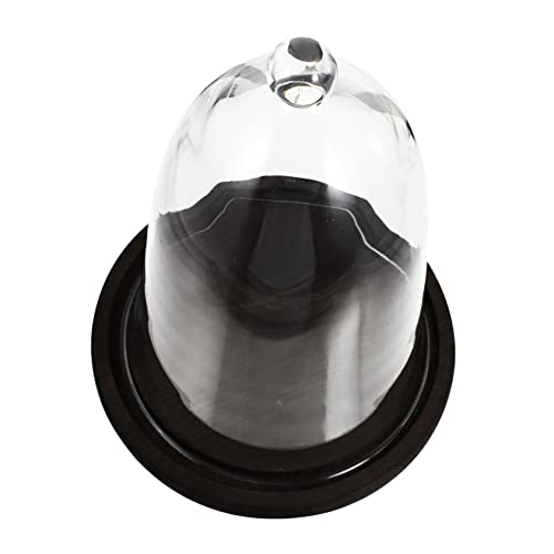 COHEALI Preserved Flower Glass Cover Creative Adornment for Micro Landscape Decorative Glass Dome for Eternal Dried Flowers for Home Office Display