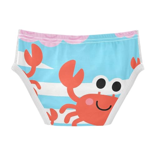 GuoChe Toddler Boy Briefs Cotton in Sizes 2T,3T, 4T, 5T, 6Y and 8Y2