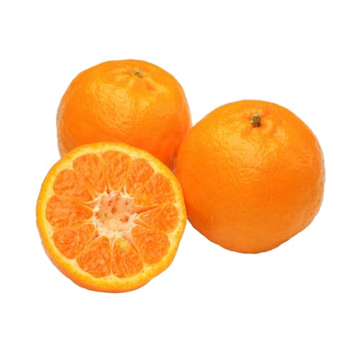 先行予約 ポンカン 約8kg 40個前後 2026年1月上旬から1月下旬発送予定 柑橘 果物 ぽんかん ひでみかん
