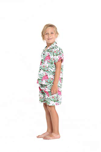Hawaii Hangover Boy Aloha Luau Shirt Cabana Set in Flamingo in Love3