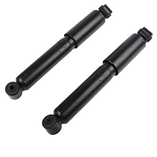 2 x Ammortizzatore a Gas per Assale Posteriore