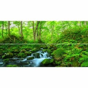 Amazon.co.jp: 特大上下2枚仕様X版鳥海山のブナの森 渓流 森林浴 鳥海 