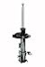FCS 331646L Suspension Strut
