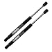 Beneges 2PCs Rear Trunk Struts Compatible with 2005-2008 Chrysler 300 Gas Spring Charged Lift Supports Shocks Dampers PM3162, 6405, 8196247