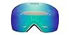 Oakley Flight Deck L Snow Goggle #2
