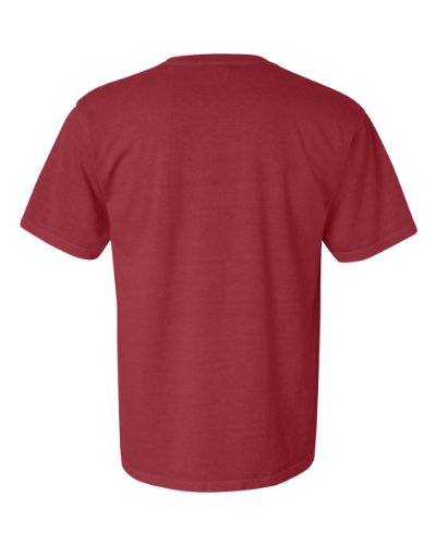 Image of Comfort Colors Adult Short Sleeve Tee, Style G1717