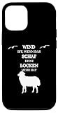 Norddeutsch Schafe Windstärke Schietwetter