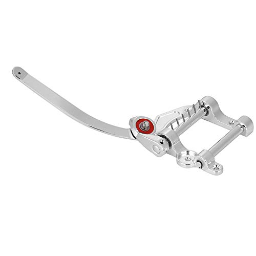 Guitarra Vibrato, Bigsby Vibrato Tailpiece Tremolo para guitarra SG LP Jazz instrumento musical (pra