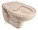 Produktbild 'aquaSu® Basic Spülrandloses Wand WC 217, Hänge WC mit waagerechtem Abgang, Tiefspüler ohne Spülrand, 40 x 36 x 53 cm, Tiefspül WC, Wandtoilette, Sanitärkeramik in beige, 56921 7