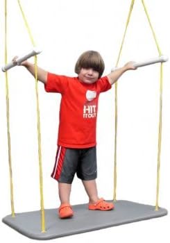 Indoor Platform Swing (Medium)