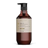 THEORIE Argan Oil Restoring Shampoo - Rejuvenate & Moisturize - Sulfate Free - Suited for All Hair...