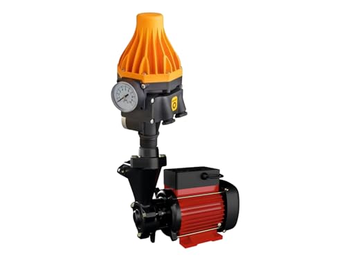 Image of Kirloskar 1 Hp Single Phase Jalnayak Water Pump with Pump Controller Switch (Multicolor)