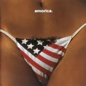 The Black Crowes Amorica.