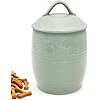Large Dog Treat Container Airtight Cute Dog Treat Jar with LidsRustic Dog Treat Storage Container Ceramic Cat Food Jars for Kitchen Counter Green