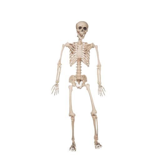 My Other Me - Esqueleto branco de 120 cm. Um complemento sinistro para dar um toque realista à sua decoração de Halloween