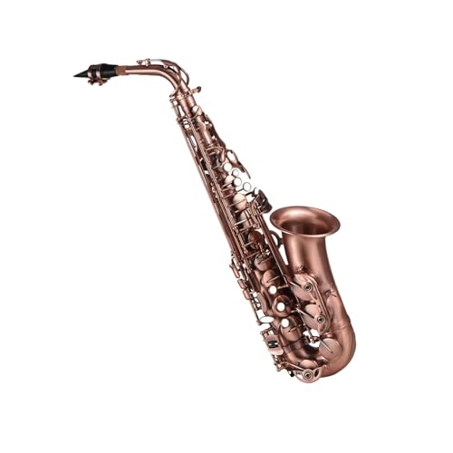 TbNX vdl̃bhRbp[xhEtbgAgTbNXL[p^[AP[XA܁AN[jONXt