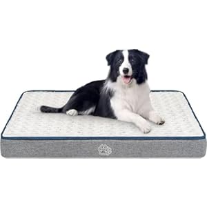 EMPSIGN Cama Perro Mascotas Impermeable Doble Cara (Cálido y Frío), Funda Extraíble Lavable a Máquina, Alfombrilla de Cama para Perros Grande para Dormir (Large, Gris)