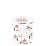 Ambiente Kerze Stumpenkerze Lampionkerze 9 cm hoch robin family Vogelmotiv Vögel Landhaus