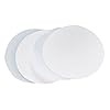 OmicronTM 136047 Borosilicate Glass Fiber Binder Free Filter,0.45 Micron, 47mm (100/Pk)