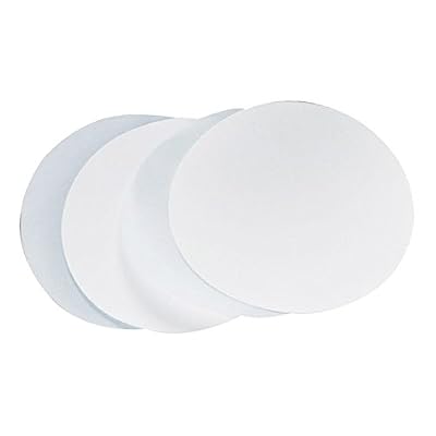 OmicronTM 136047 Borosilicate Glass Fiber Binder Free Filter,0.45 Micron, 47mm (100/Pk)