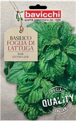 Bavicchi ZBS02 busta semi Basilico Foglia di Lattuga
