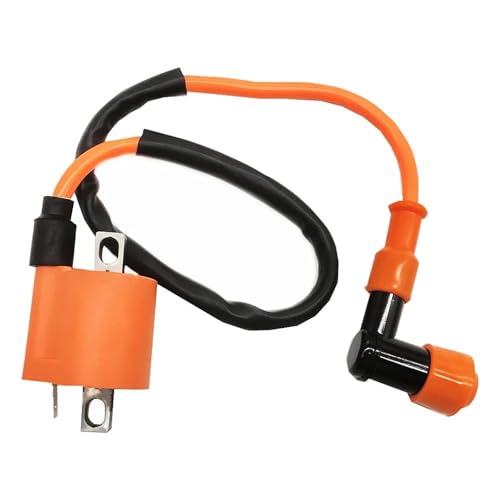 Pièces de performance pour moto et allumage CG ZJ D8TC 125CC Pit Bike