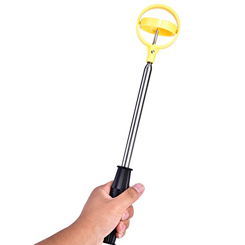 raccogli palline , peschino,ballangel ,peschino lungo,palle da vice,occhiali sostituzione per palle ,marca palle ,peschino longbridge,telescopico ,ball retriever,peschino telescopico,peschino ,guadino