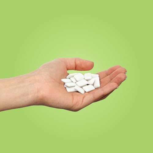 PUR Gum | Sugar Free Chewing Gum | 100% Xylitol | Vegan, Aspartame Free, Gluten Free & Diabetic Friendly | Natural Coolmint Flavored Gum, 9 Pieces (Pack of 12)