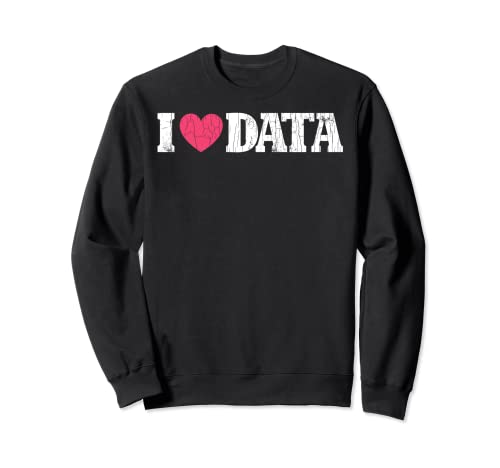 I Love Data Funny Scientist Computer Science Gráfico Sudadera