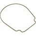 Pentair 357102 Almond Seal plate Gasket Replacement Pool and Spa Inground Pump