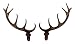 Galapagoz New German Made Plastic Cuckoo Clock Deer Antlers Size 102mm USA