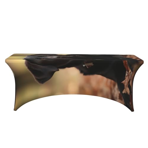 Nappe de table rectangulaire élasthanne 1m80 lavable sans repassage - 3