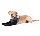 Dog Socks to Prevent Licking Paws ，Breathable Leg Sleeve to Stop Licking and Biting,Firm and Secure Protect Wounds Dog Recovery Sleeve Socks (XLarge-Gray)