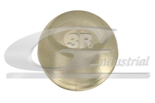 3RG INDUSTRIAL - Kit Casquillos a leva - OEM 701711259B - Ricambi E Parti di Automobili Moto - Parti Motore Equipaggiamento del Veicolo E Altri Marchi Compatibile con Auto E Moto.
