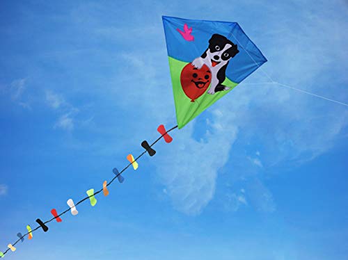 ZHUOYUE Single Line Diamond Kite for Kids, 31 Inch Easy to Fly Kites with Long Tail and Kite String