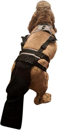 Image of Tail Guard & Harness Set - Veterinary Dog Tail Protector & Injury Wrap, Size 3XL