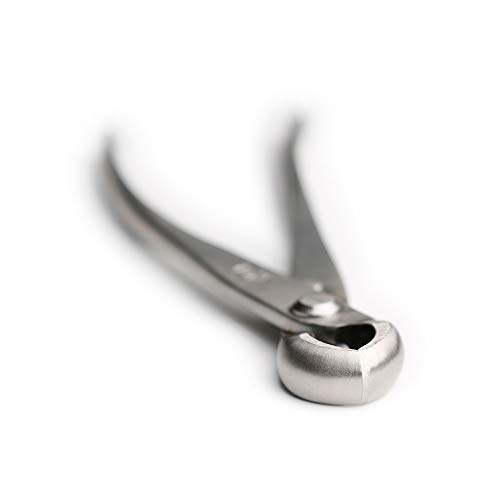 Tianbonsai MTS-09 Professional Grade Bonsai Tools Knob Cutter Concave Cutter 180 Mm Made thumb #1