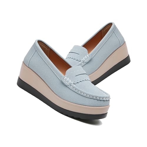 fB[X [t@[  Xb| ₷ V[Y ߃q[ ʋ ʊw JWA C O\[ ɂ (Blue, l, 25.0 cm, l, {̌C̃TCY@) [sAi]