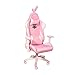 SHENXINCI Rosa Sedia per Videogiochi,Ergonomica Sedia Gaming,Altezza Regolabile e Supporto Lombare,con Orecchie di Coniglio