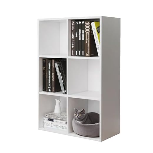 Versatile 6-Cube Storage Shelf Organizer